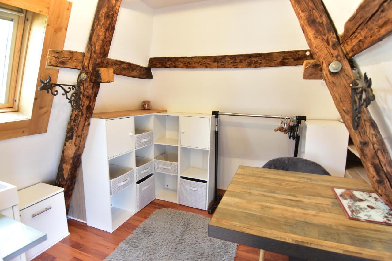 Le Duplex Carnot Apartment Annecy Luaran gambar
