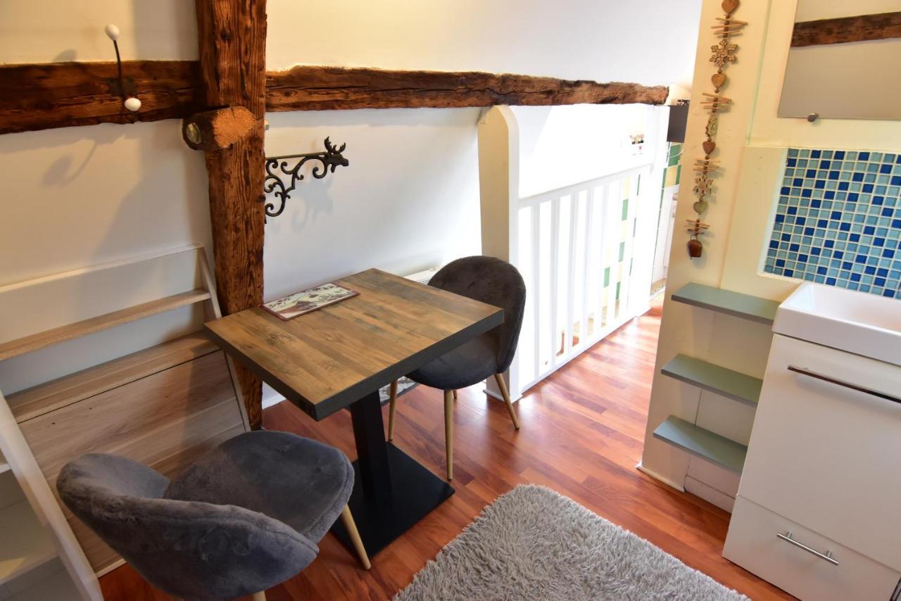 Le Duplex Carnot Apartment Annecy Luaran gambar