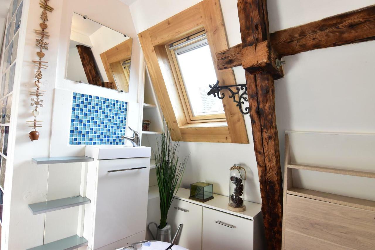 Le Duplex Carnot Apartment Annecy Luaran gambar